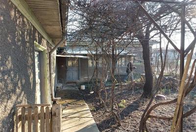 Casă în Fierbinți-Târg - 6