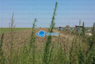 Teren Intravilan Herasti Giurgiu 2 HA - 3