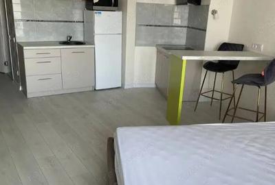 Apartament cu 1 camera in zona Sagului - 1
