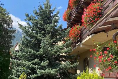 Casă cu Teren 500 Mp în Poiana - 2