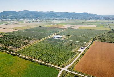 Teren de 27720 mp, în Vest - 17