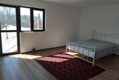 CASA ROMANESTI  5 CAMERE - 16