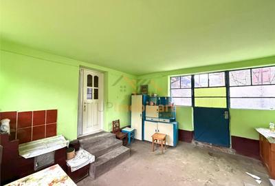 Casă cu 4 camere cu Teren 2846 Mp în Aștileu - 13