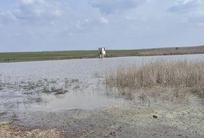 Teren de 120000 mp, în Drăgănești-Vlașca - 2