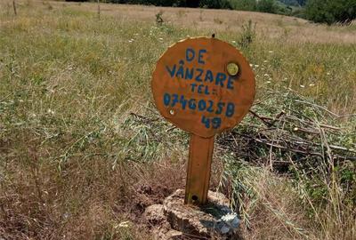 Teren în Sud - 1
