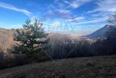 Teren Construcții intravilan de 17684 mp, în Centrul Istoric - 10