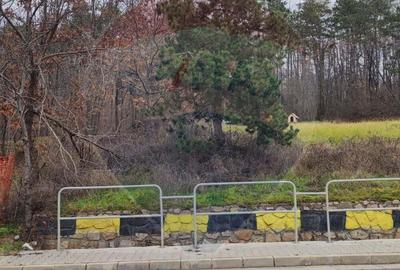 Oportunitate investi?ie B. Felix teren intravilan cu PUZ 1157 mp DN 76 - 4