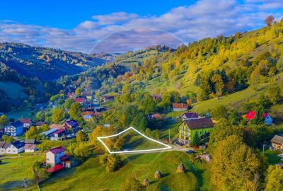 COMISION 0% Teren 1,564mp Moieciu de Jos/ Intravilan - 9