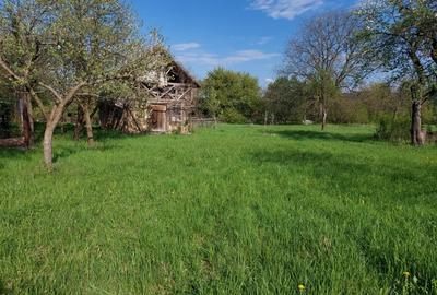 Teren splendid Vaduri cu utilitati si vecini de calitate - 3