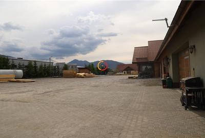 Teren  intravilan18.000 mp pentru dezvoltare comerciala - 2