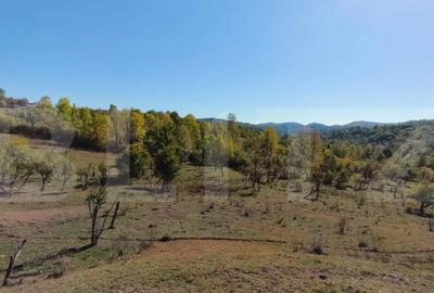 Teren de 7382 mp, în Central - 6