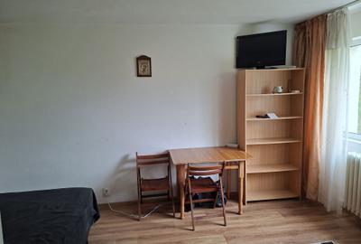 Garsonieră semidecomandată în Dristor - 8
