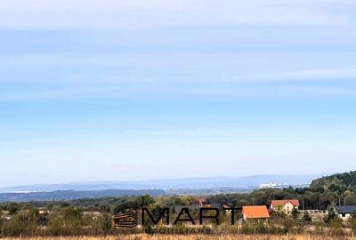 Casa individuala 130mp la Alb interior si cheie exterior in Poplaca - 3