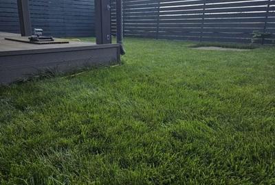 Casa | Vila | Tunari | 4 camere | Lux | Comision 0% | 3 dormitoare|Nou Casa | Vila | Tunari | 4 camere | Lux | Comision 0% | 3 dormitoare|Nou - 8