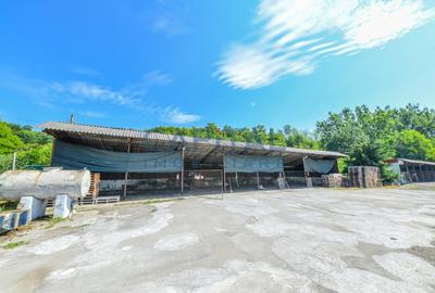 Teren intravilan, 10.000 mp, Imprejmuit+ drum privat+cladire de birouri, Dej - 18