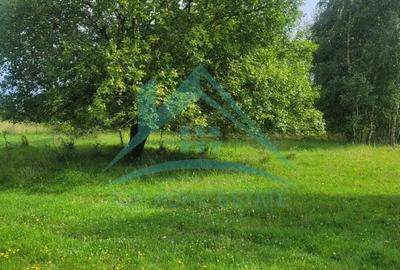 Teren pentru cabana pensiune zona Lac Micesti! - 4