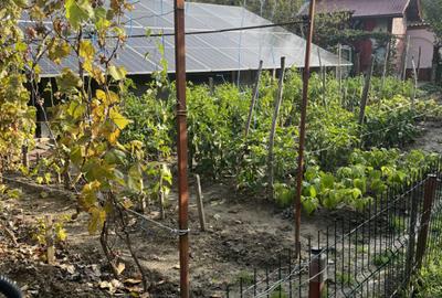 Casă cu 4 camere cu Teren 692 Mp în Vlădesti - 16