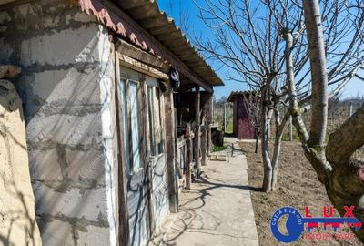 ID 6675 EXCLUSIVITATE - Teren cu casa in Sat Lunca- DELTA DUNARII - 3