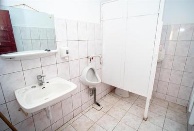 Casă cu 7 camere cu Teren 570 Mp în Rogerius - 22