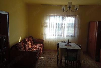 Casă cu 2 camere cu Teren 4707 Mp în Hălmăgel - 5