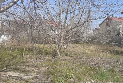 Teren Construcții intravilan de 720 mp, în Kamsas - 2