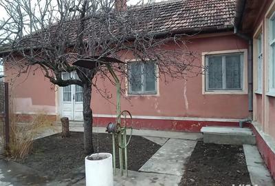 Casa cu gradina - 1432mp - 2