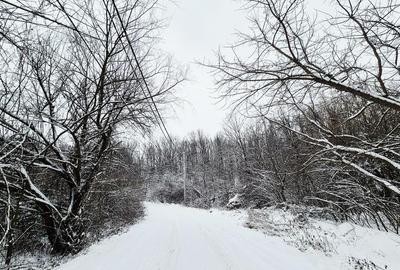 Teren Construcții intravilan de 708 mp, în Vișani - 2