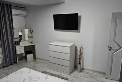 Apartament cu 2 camere decomandat, mobilat în Theodor Pallady - 11