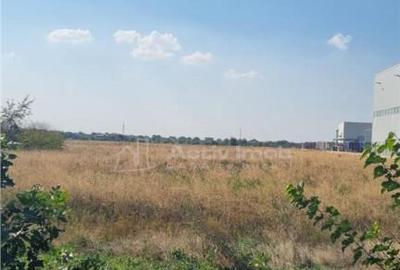 Teren de 25000 mp, în Central - 5