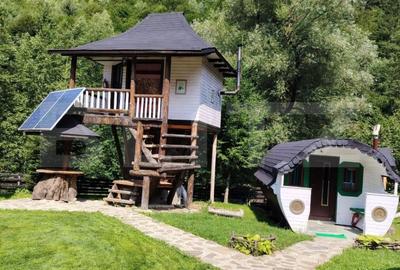 Cabana/Casa de vacanta in Molid, SV, 136 mp, teren cu 3300 mp, Iaz cu pesti - 11