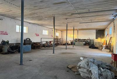 Spațiu industrial, de 650 mp, în Cristian - 8