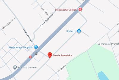 Cornetu, zona primariei, semistradal, 100metri Alexandriei! - 4