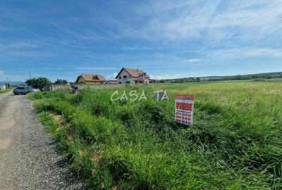 Teren Construcții intravilan de 3405 mp, în Preajba Mare - 1