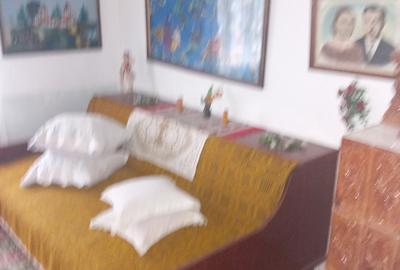 Casă cu 4 camere în Măicănești - 6