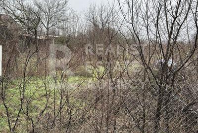 Teren de 5986 mp, în Snagov - 2