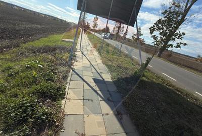 VANZARE Teren intravilan industrial BUFTEA/Strada Milano/... - 11