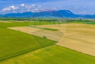 Teren agricol extravilan de 12300 mp, în Glăjărie - 8