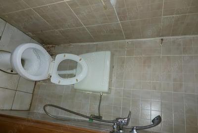 Garsonieră decomandată în Turnișor - 1