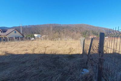 Spațiu comercial, în Timișu de Jos - 4