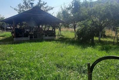 Tautii de Sus - casa din 2002, P+M, teren 12 ari - 1