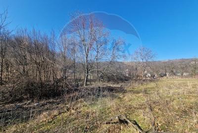 Teren Construcții intravilan de 4985 mp, în Sascut - 2