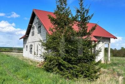 Casa individuala ,la rosu, zona -Negostina - 2