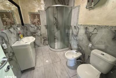 Apartament cu 2 camere semidecomandat, mobilat în Ciurea - 6