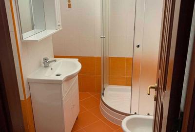 Apartament cu 3 camere decomandat în Valea Moșneagului - 7