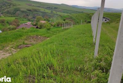 Teren de 2506 mp, în Baciu - 2
