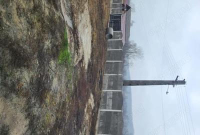 Casă cu Teren 7066 Mp în Dobroteasa - 2