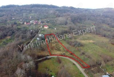 Teren de vanzare in comuna Valea Iasului, jude? Arge?. - 2