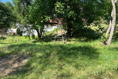 Teren 4996 mp zona de munte Comuna Arefu-Capataneni Arges - 3