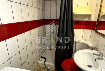 Garsonieră semidecomandată, mobilată în Grigorescu - 17