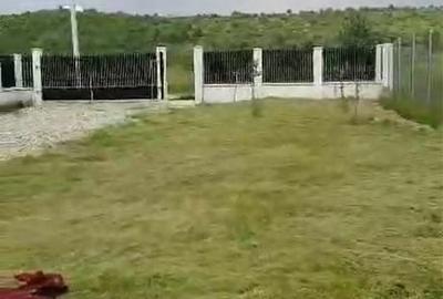 Spațiu comercial, în Livezile - 5